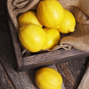 상큼한 정품팬시 레몬 10개(개당 120g내외)