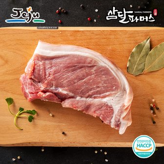  [삼달파머스]냉장 제주 흑돼지 전지 500g x 2팩/스킨포장