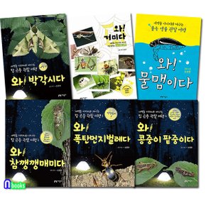 지성사/생태활동가 손윤한 곤충 관찰여행 세트(전6권)/거미.물맴이다.박각시다.참깽깽매미다.폭탄먼지벌레.콩중이팥중이-새벽들아저씨와 떠나는.