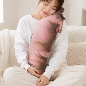 진짜같은 돼지 애착인형 봉제 대형인형 쇼파쿠션 쓸데없는 쓸모없는 웃긴선물 60cm