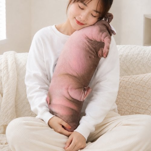 이미지2
