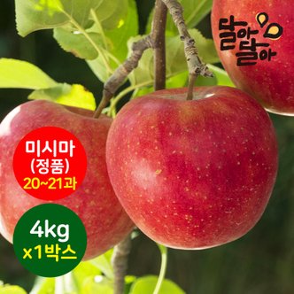 달아달아 경북 정품사과 미시마 부사 4kg(20-21과) 1박스