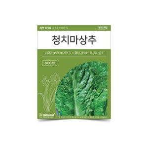 오너클랜 베하몰 텃밭 채소 씨앗 청치마 상추