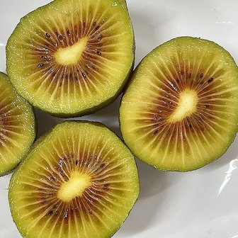 지투지샵 제주 레드키위 특대과 4.5kg