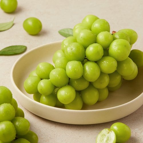 상품 이미지2
