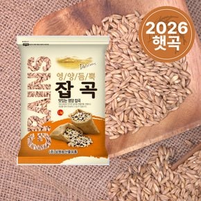 [2026년산] 국산 귀리 1kg