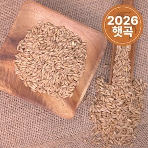 [2026년산] 국산 귀리 1kg