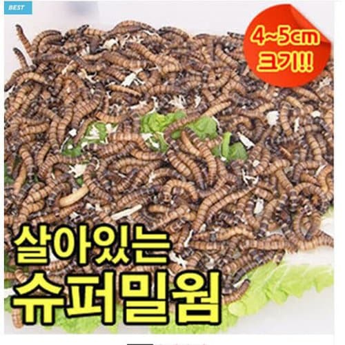상품이미지1