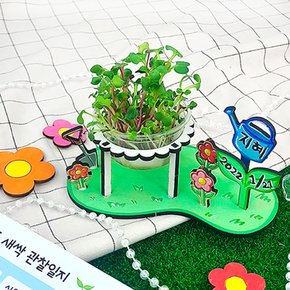 새싹 키우기 미니 정원 관찰일지 포함