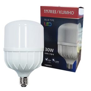 번개표U볼 고와트 LED 파워램프 공장등 30W