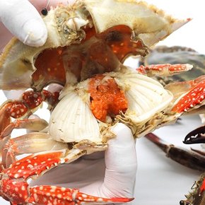 서해안 알배기 암꽃게(급냉) 2kg 8-12미