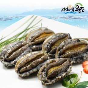 [생일도 참전복]완도직송 총각이 키운 활전복 1kg(10-12미)_국내산(양식)