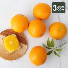 과즙뚝뚝 네이블 오렌지 3kg(16개입)