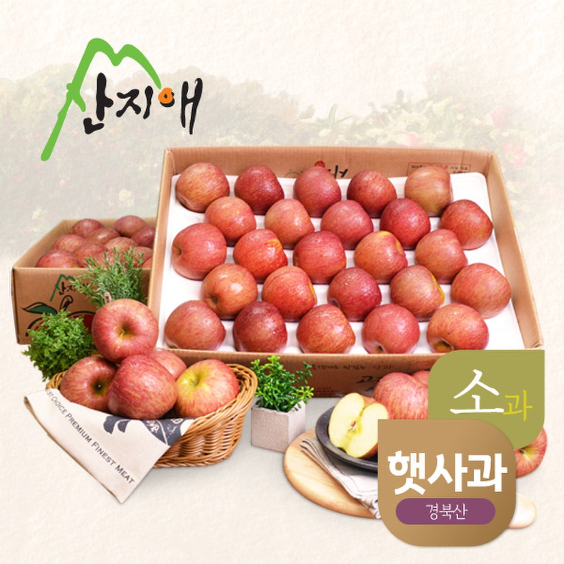 2022햇사과] 산지애 알뜰 못난이사과(소과) 4.5Kg 2Box, 이마트몰, 당신과 가장 가까운 이마트