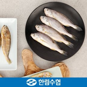 [9/5(목)순차출고][제주 한림수협] 제주직송 제주 진공 굴비 세트 400g*5팩 25마리(5미/1팩)