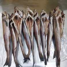 신선씨푸드 명태코다리 10미 냉동코다리