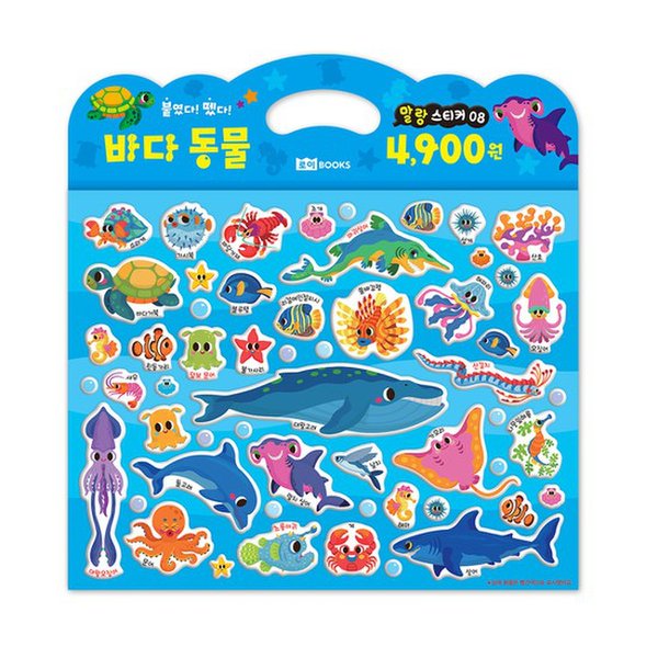 확대된 대표 대표이미지
