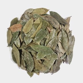 그라비올라 그라비올라잎차 250g