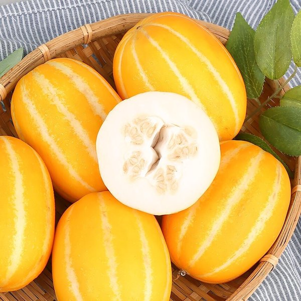 [오늘담은]성주참외 가정용 꼬마과 3kg 21-30과