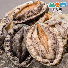 완도맘 완도 활전복15-17미 1kg  당일조업 살아서도착