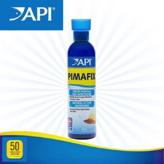  API 피마픽스 237ml