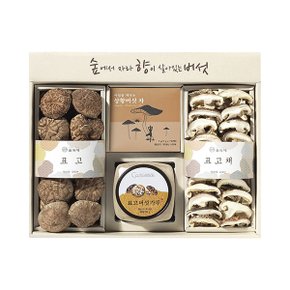 표고 상황버섯차 혼합 선물세트 217g [표고+표고채+표고분말+상황버섯차]