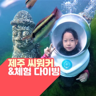  [제주/액티비티] 바다속을 즐기는 색다른 체험 씨워커&체험다이빙