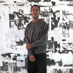 [BISCO SMITH] Grey Graphic Sweatshirt CWTAW25917GYX