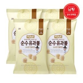 아인슈타인 유과볼 고소한인절미맛봉 30g 4개_P333288590