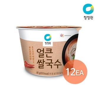 종가집 청정원 얼큰 컵쌀국수 92g x 12개