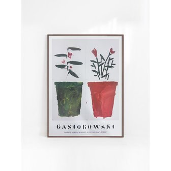 쿠나장롱 [제라르 가스오르노프스키] Fleurs no 117, 118 (액자 포함) 54 x 74 cm