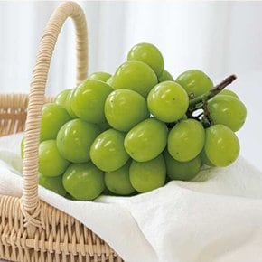 고당도 샤인머스켓 특품 1.5kg (2-3수)