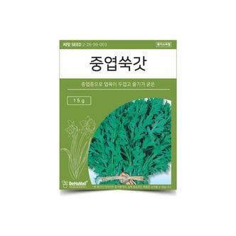 제이큐 베하몰 텃밭 채소 씨앗 중엽 쑥갓 X ( 3매입 )