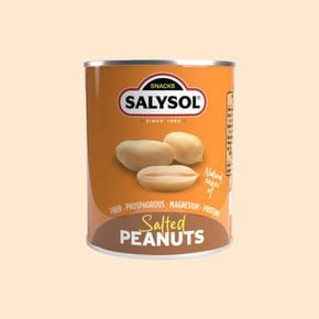 살리솔 솔티드 피넛 60g[36098964]