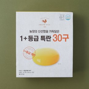 [트레이더스 쓱배송] 신선한 과일/채소 쓱배송 모음!