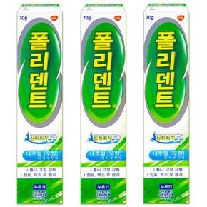 폴리덴트 의치부착재 틀니접착제 후레쉬민트 70g x3개_P360921529