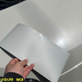 제이큐 LF쏘나타 카페인트 스크래치밴드 WC9