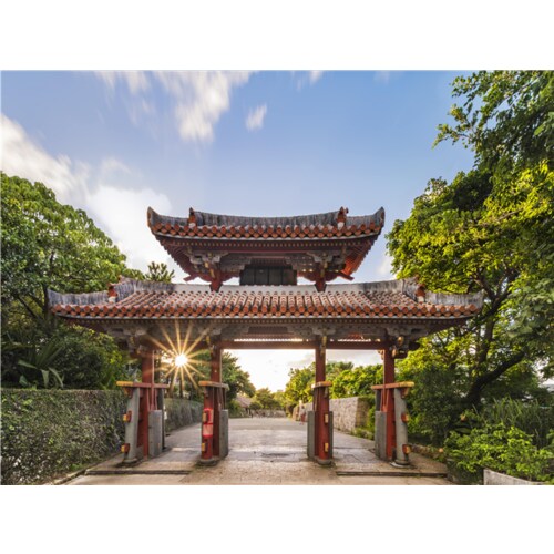 상품이미지10