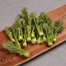지투지샵 참두릅 원순 사이즈랜덤 500g 2팩