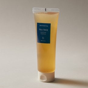 티트리 퓨리파잉 샴푸 180ml