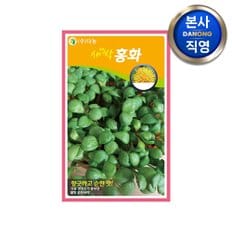 새싹 홍화 씨앗 10g . 친환경 무농약 무소독 채소 수경 재배 씨 종자