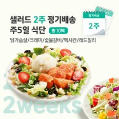 샐러드 2주 정기배송 주5일 (닭가슴살1+크래미1+숯불1+멕시칸1+레드칠리1)