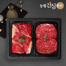 [1/13(월)이후 순차출고]농협안심한우 1등급 알뜰 구이정육세트 750g (등심350g + 불고기400g)