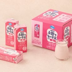 소화가잘되는우유로 만든 딸기 190mL*12개입