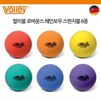 volley 발리볼 로바운스 레인보우 스펀지볼 6종