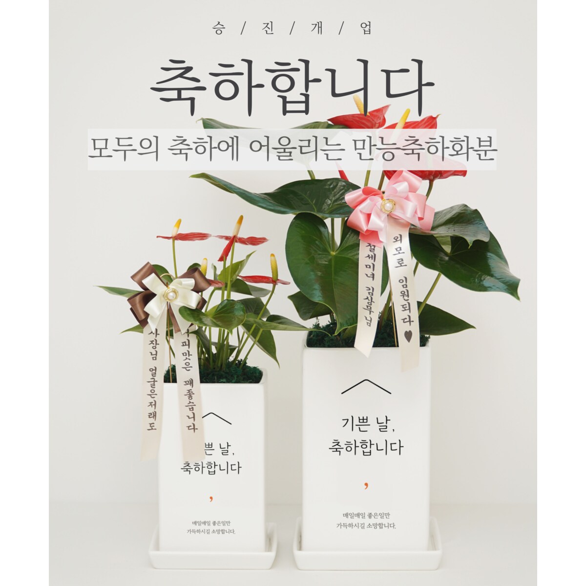 확대된 대표 메인이미지