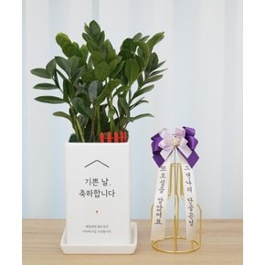 리본세트_축하전용화분(중형) / 승진/개업/영전 축하화분선물