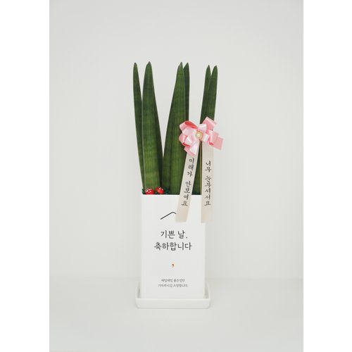 추가이미지