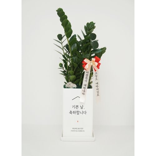 추가이미지