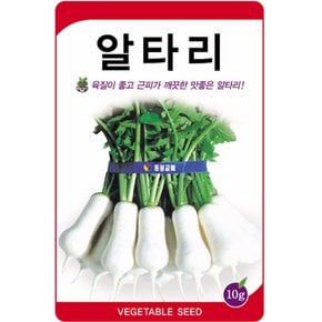 일류 알타리씨앗 10g 총각무씨앗